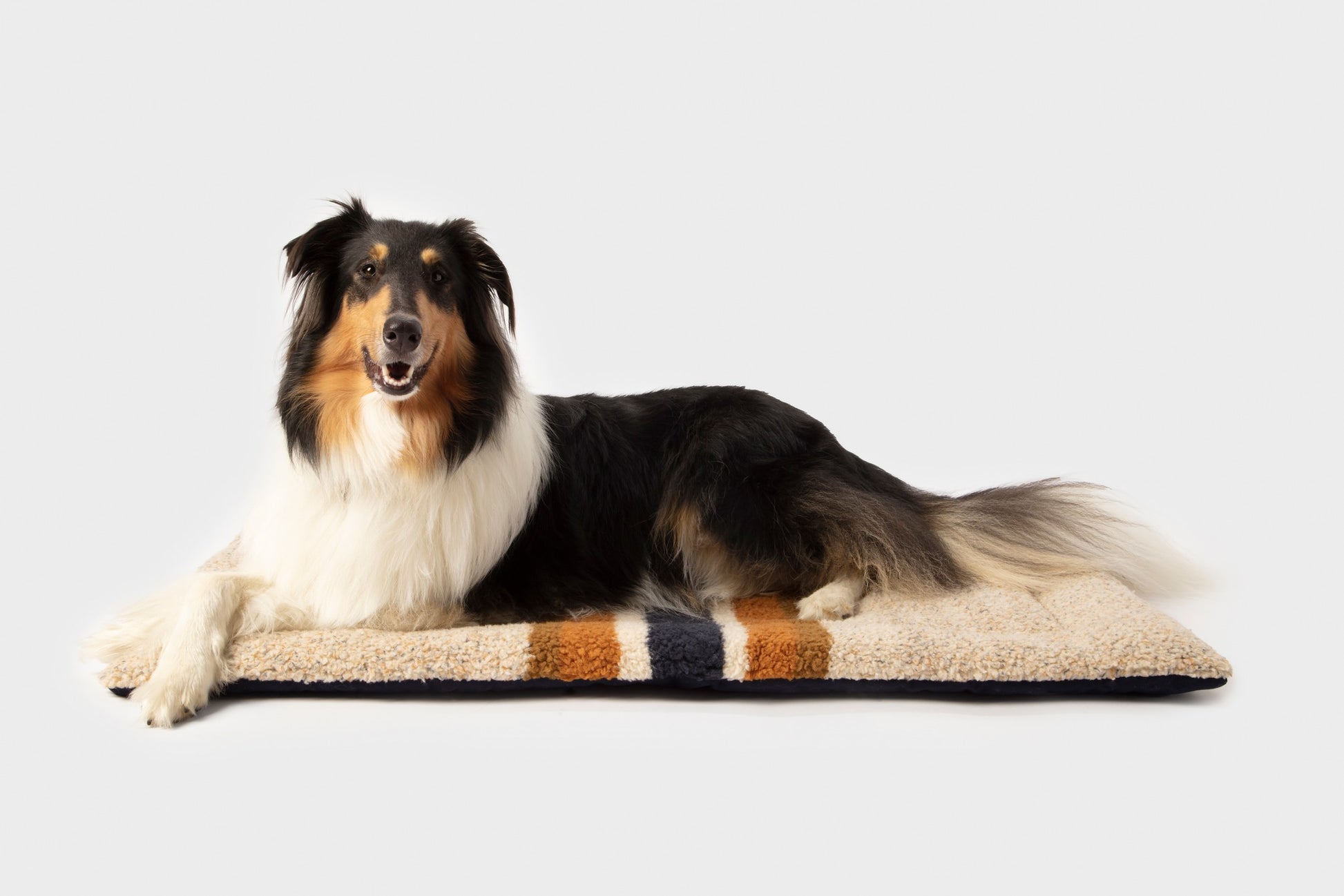 A black, white, and tan long-haired dog lies on the Shinola Crate Comfort Mat - Oat Stripe, a machine washable dog bed with orange and navy stripes, against a plain white background.
