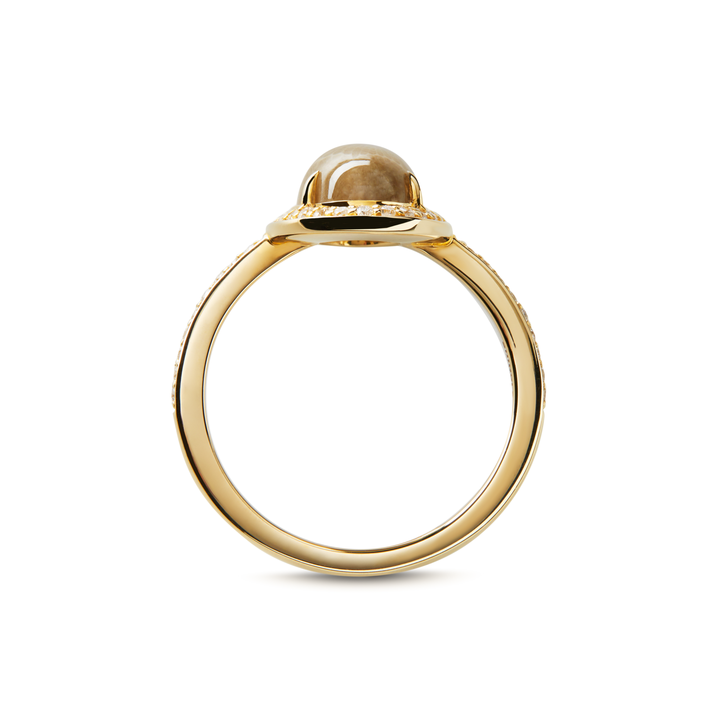Petite Diamond Pave Petoskey Oval Ring - Yellow Gold