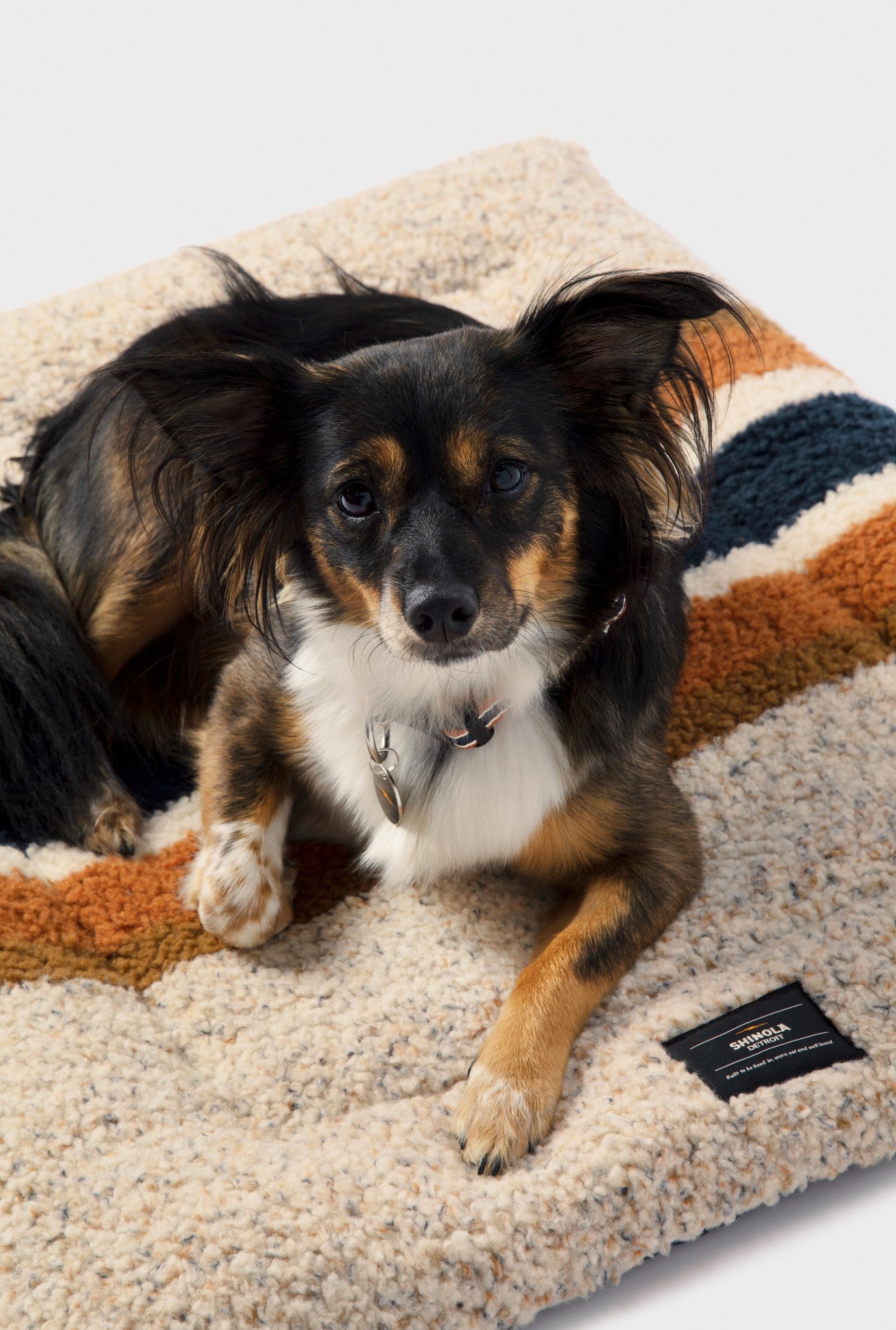 A small black and brown dog with white markings rests on the Shinola Crate Comfort Mat - Stripe Brown, a plush, textured, machine washable dog bed featuring beige, orange, and dark blue stripes. The alert dog wears a collar with a tag.