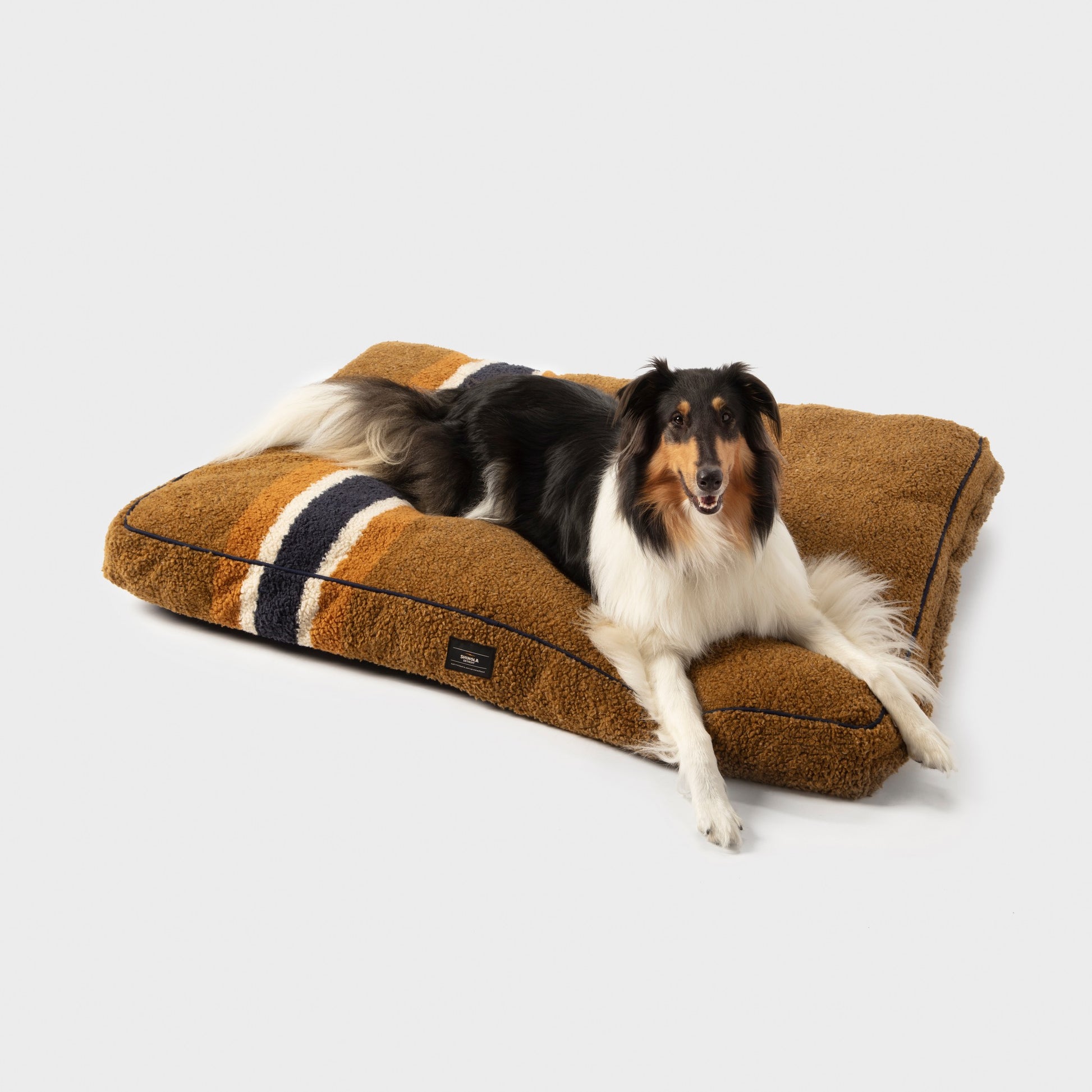 A black, white, and tan dog lies on the Shinola Napper Pillow Dog Bed – Stripe Oat, featuring a plush, machine-washable shearling Berber cover with white and black stripes, set against a plain white background.