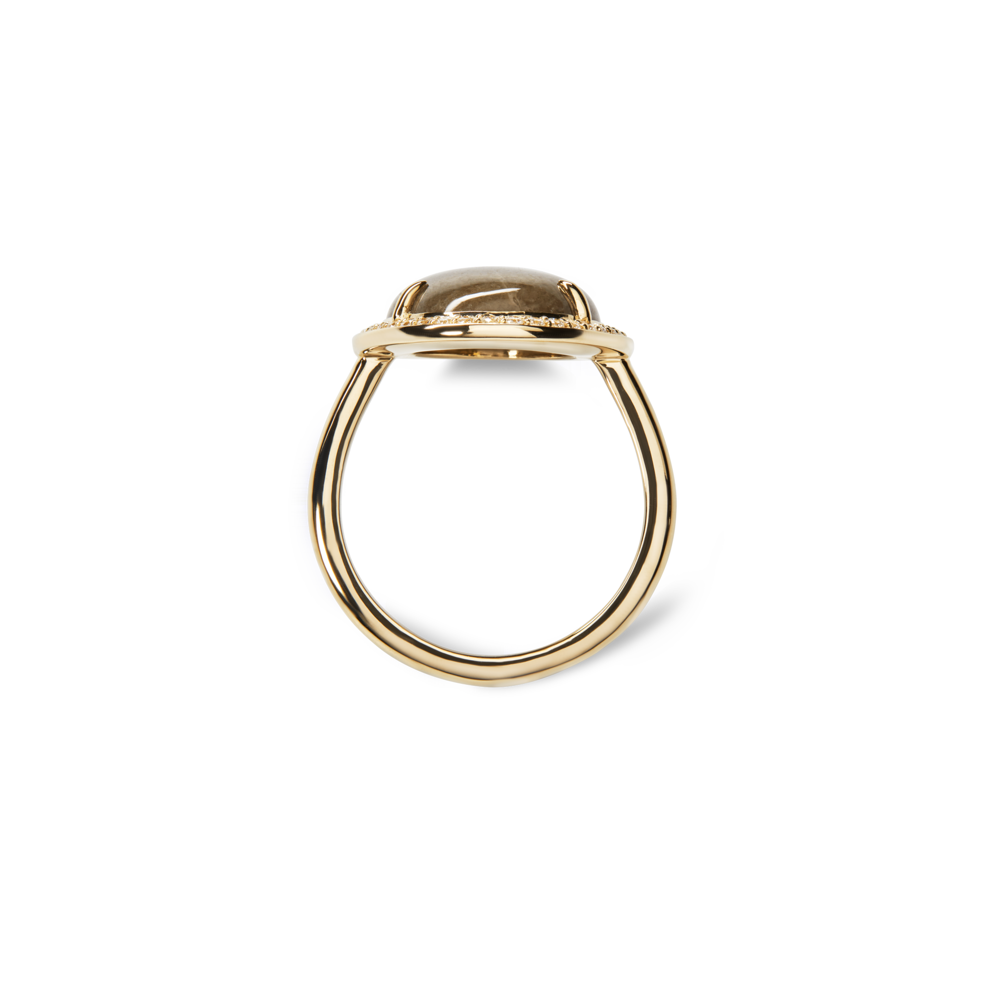 Diamond Pave Oval Petoskey Ring - Yellow Gold