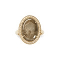 Diamond Pave Oval Petoskey Ring - Yellow Gold