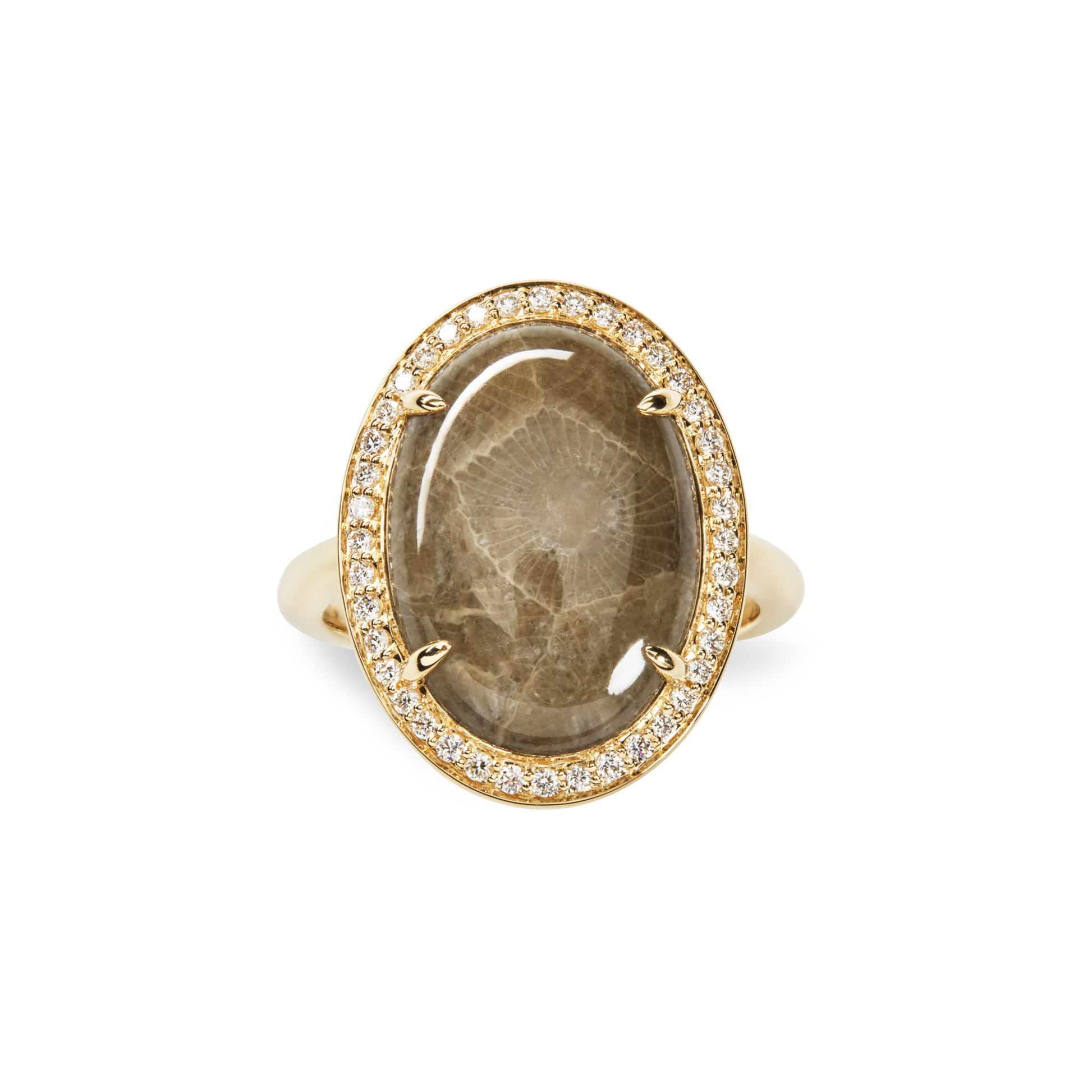 Diamond Pave Oval Petoskey Ring - Yellow Gold